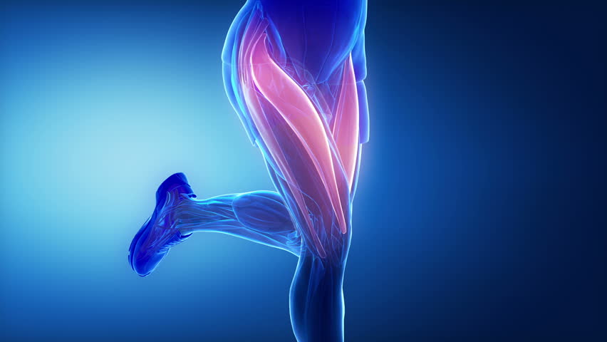 Header of leg