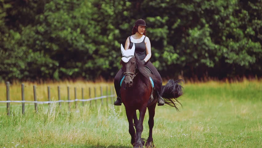 Riding girl. Женщина на лошади. Женщина на лошади профессионал. Жена лошадь. Верхом на лошади во сне.