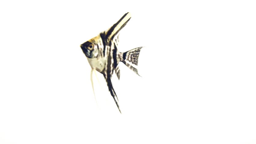 Related image