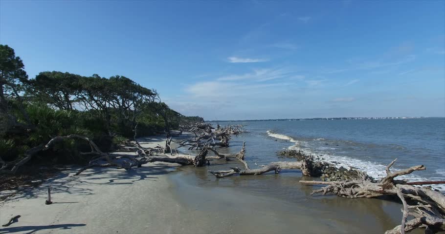 Jekyll Island Driftwood Beach Aerial Stock Footage Video (100% Royalty