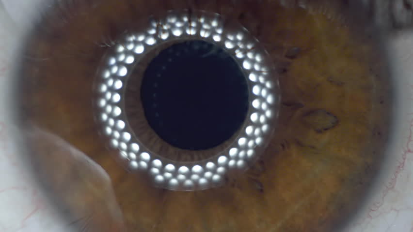 mirrored split pupil finder mirrored split pupil finder