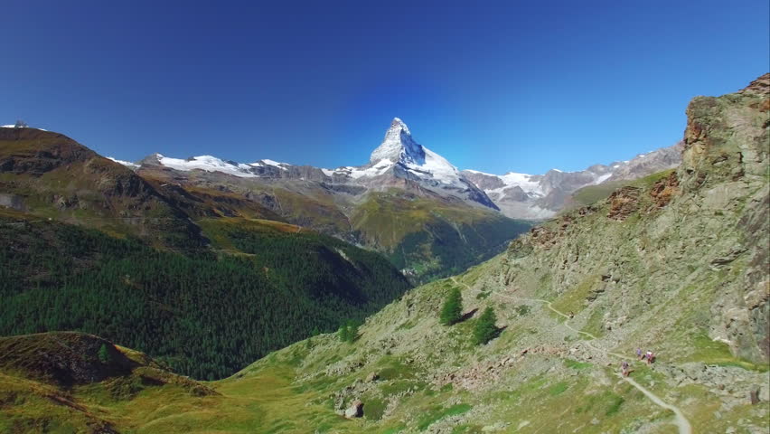 Swiss single stock options