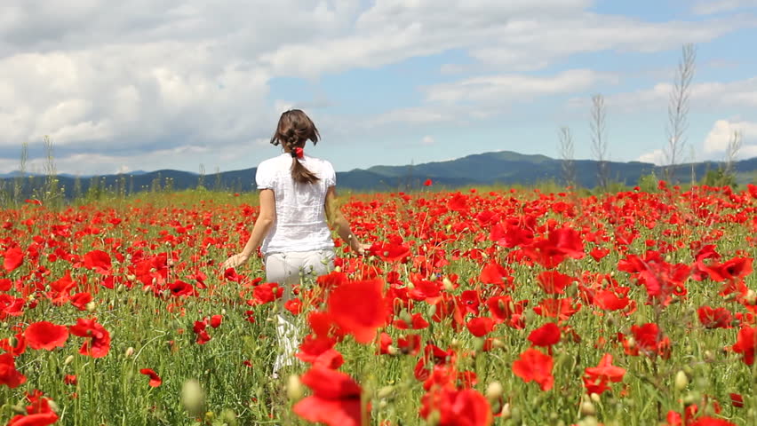 Beautiful Woman Walking Across A Poppy Field. Woman In A Poppy Field ...