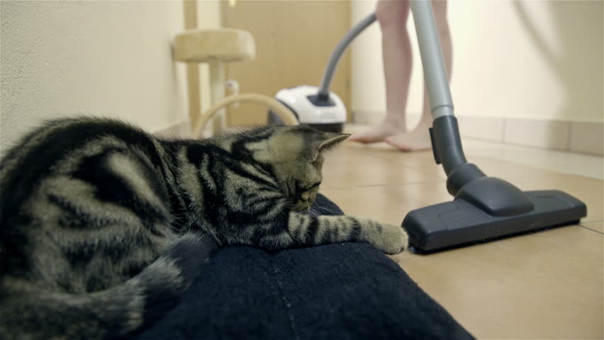 Washing Hair At Barber Shop Talking To Hairdresser 4K 