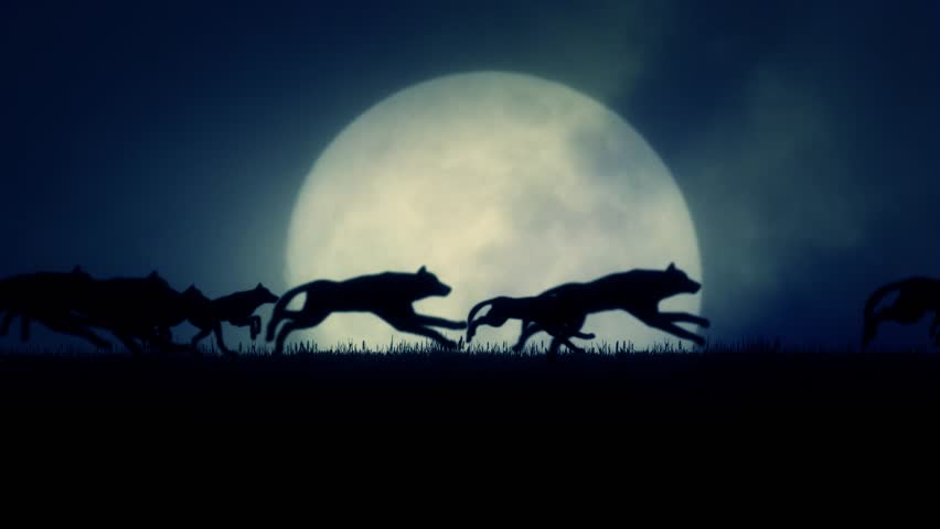 Header of rising