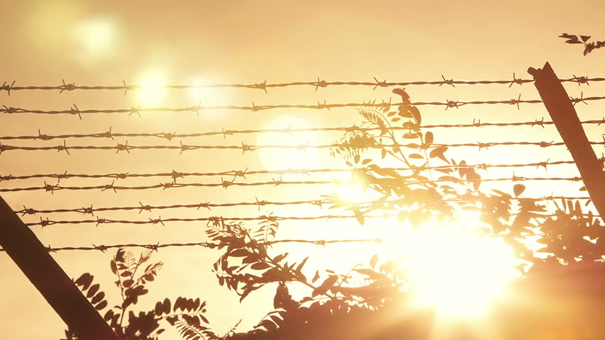 Header of tyranny