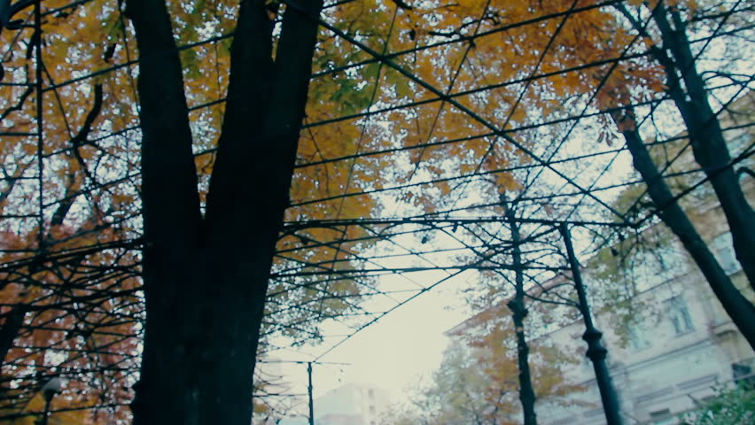 Header of dully