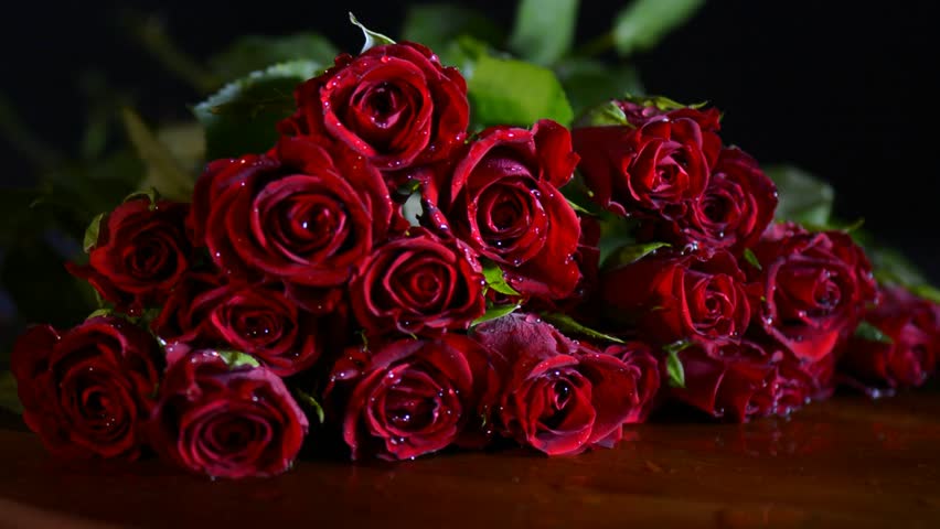 Valentine Red Roses Closeup Slow Stock Footage Video 100