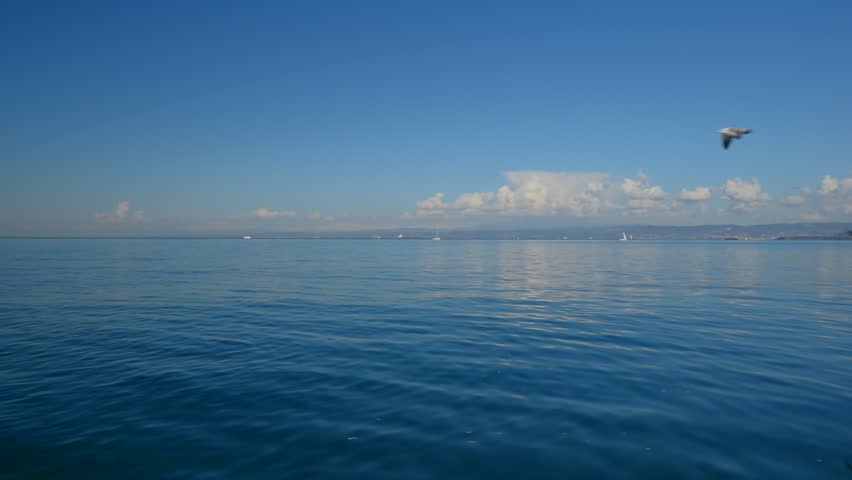 Calm Water Texture sea, seascape, ocean, nature background. idyllic seascape: clean Calm Water Texture sea, seascape, ocean, nature background. idyllic seascape: clean
