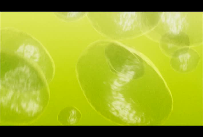 The Astonishing Truth About Moving Cells - 42enkfp