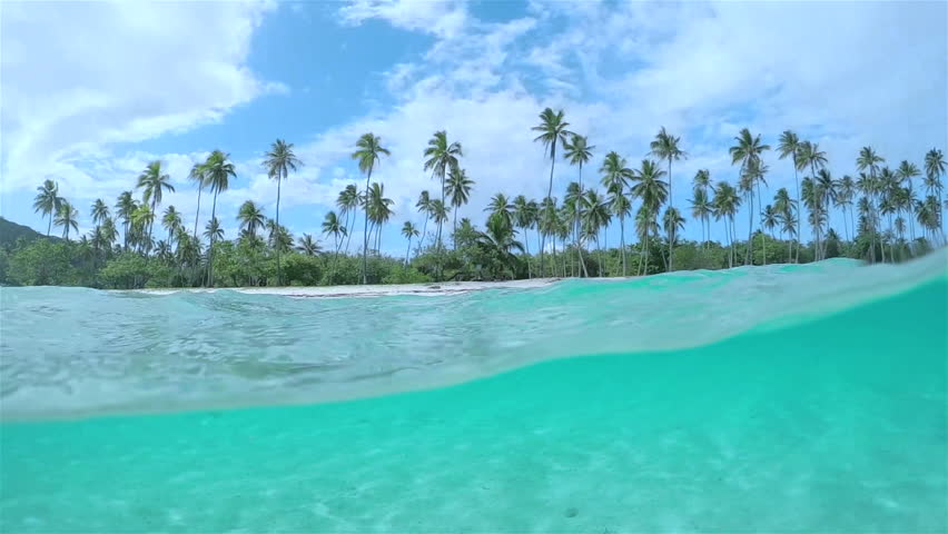 4K SLOW MOTION HALF UNDERWATER CLOSE UP Beautiful 