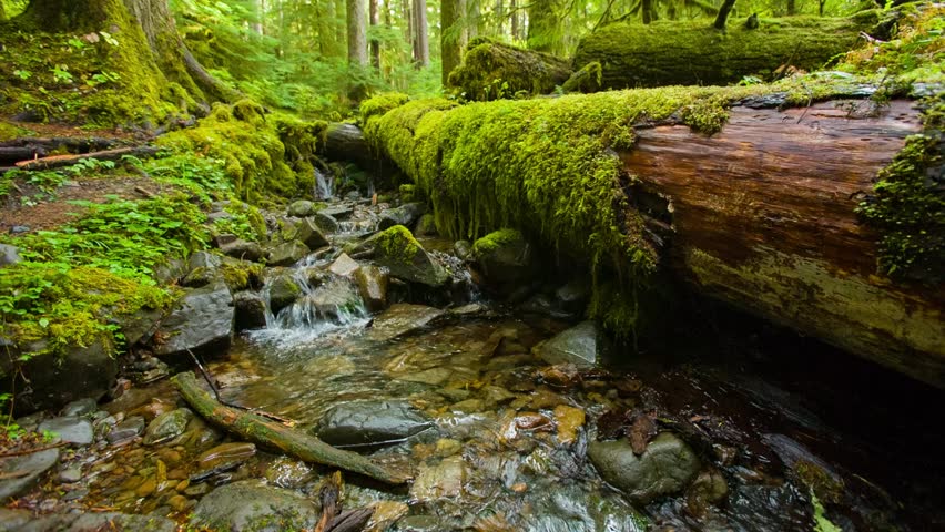 Sol Duc Falls waterfall