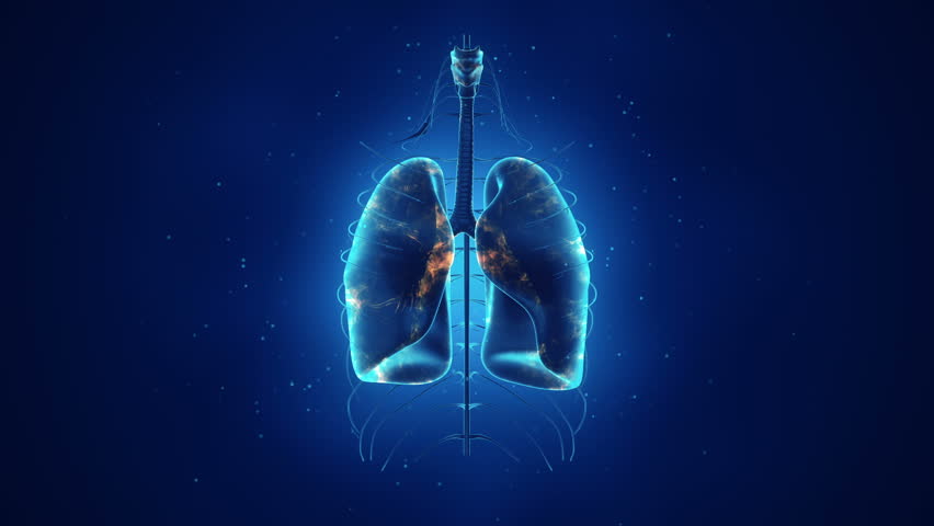 Abstract Background With Animation Of Rotation Realistic Human Lungs