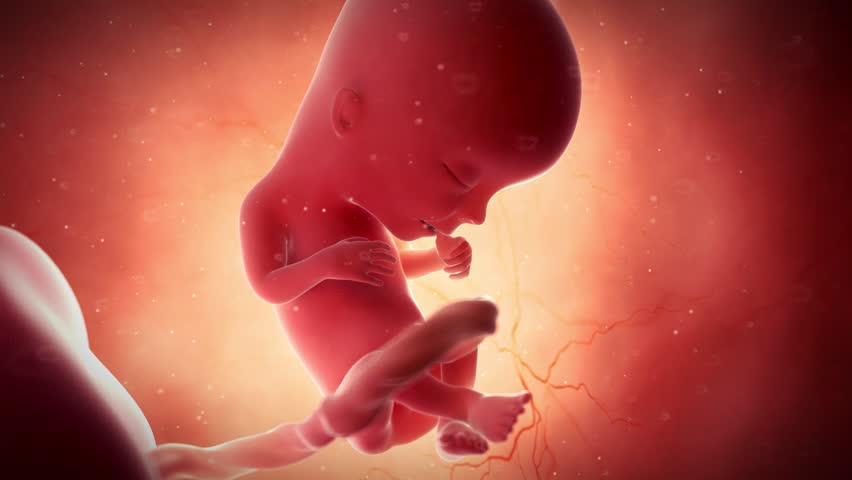Respostas a alguns argumentos pró-aborto | Nicholas Ferreira