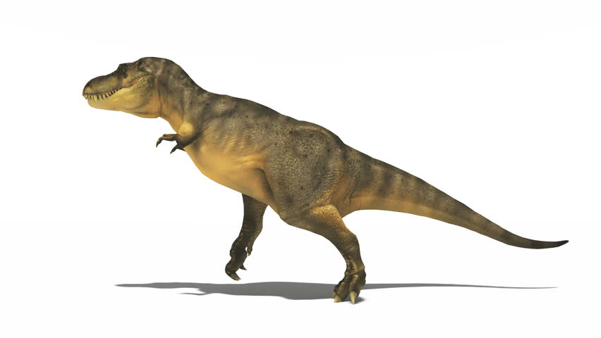 Header of dinosaur