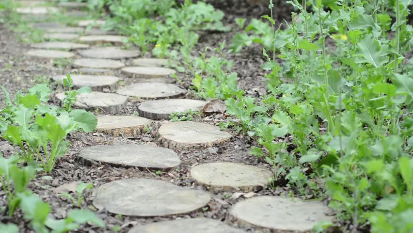 Hd00 07garden Path Decorations Made From Freshly Cut Tree Stumps