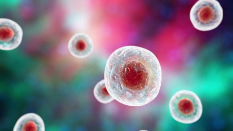 Human Cells 3d Animation Stock Footage Video (100% Royalty-free) 15729145 |  Shutterstock