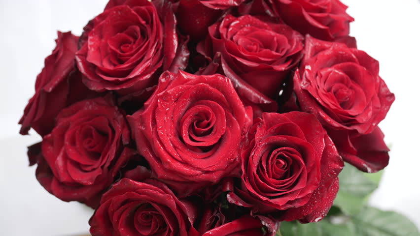 Rosas Rojas Stock Footage Video | Shutterstock