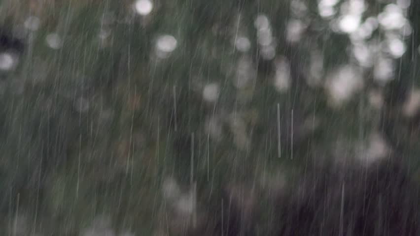 Rain Falling Down Rain Falling Down