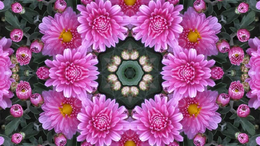 kaleidoscope flowers same day delivery