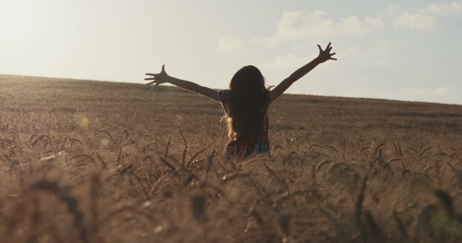 Young Woman Freedom Wheat Field Summer Worship Pose Religion Concept HD ...