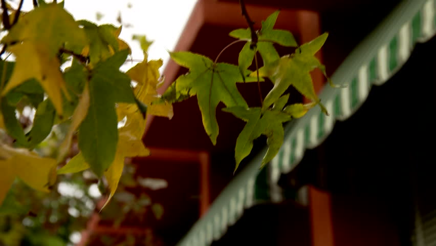 Header of buca