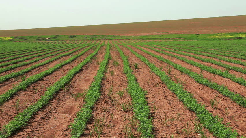 an analysis of the agriculture plowing up new soil an analysis of the agriculture plowing up new soil