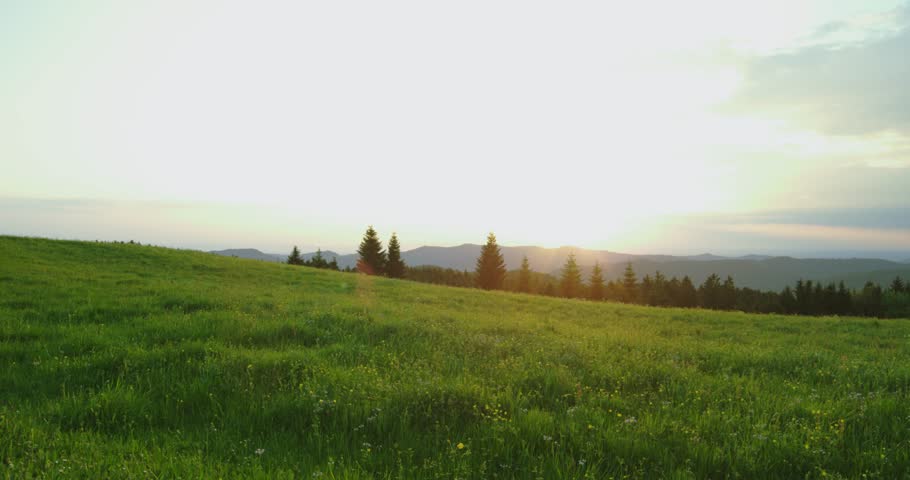 Header of Schwarzwald