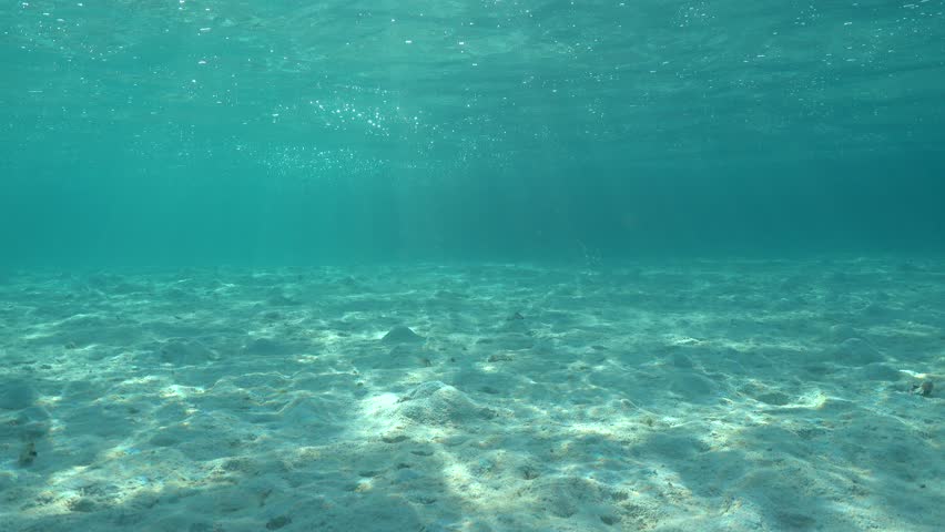 Underwater Shallow Sandy Ocean Floor Stock Footage Video 100