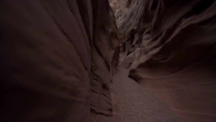 morph fetish video clips Rebecca schaeffer nude