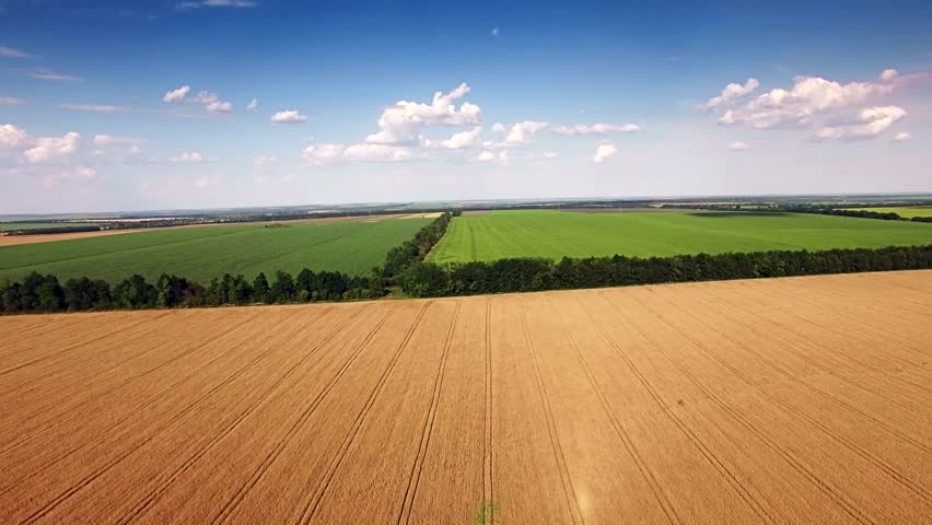 Header of agrarian