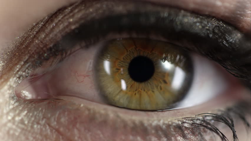 Eye Iris And Pupil Macro. Reflected Light Rays Into The Human Eye Stock ...