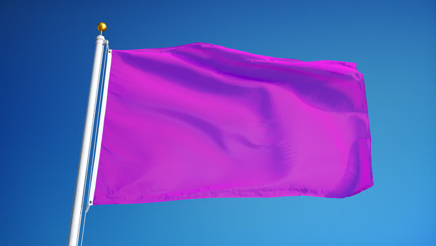 blue pink white flag blue pink white flag