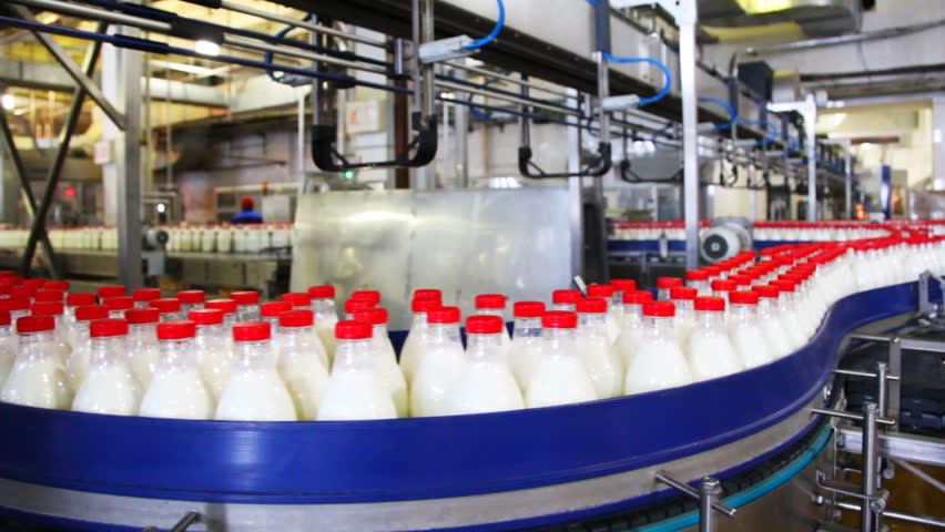 Fresh Milk Poured Into Bottles, Screwed Red Caps And Send To Consumers ...