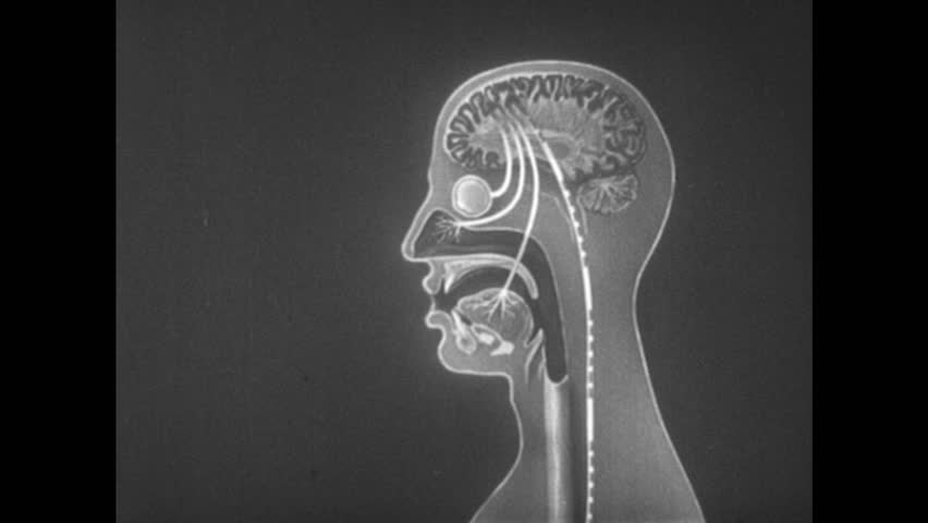 Header of perception