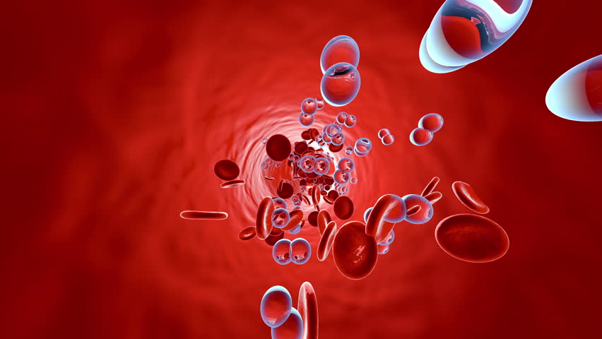 Animation Of Some Floating Blood Cells Stock Footage Video 5130152 ...