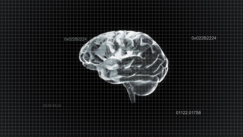 This Brain Rotation Stock Footage Video (100% Royalty-free) 1992595