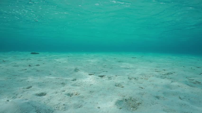 Sand Underwater On A Shallow Stock Footage Video 100 Royalty