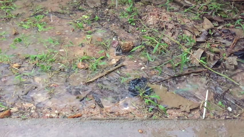 Big Drops Of Rain Hitting The Ground And Splashing During A Storm ...