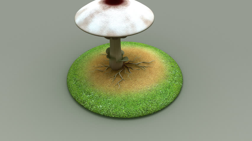 Header of mycelium