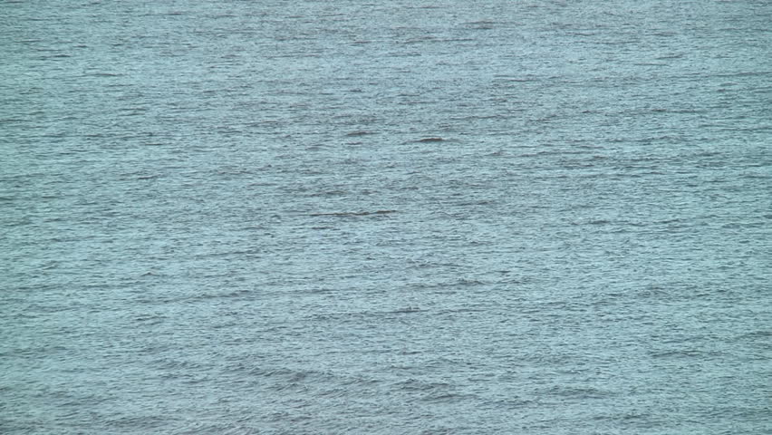 Calm Water Texture very calm water surface stock footage video 10789589 | shutterstock Calm Water Texture very calm water surface stock footage video 10789589 | shutterstock