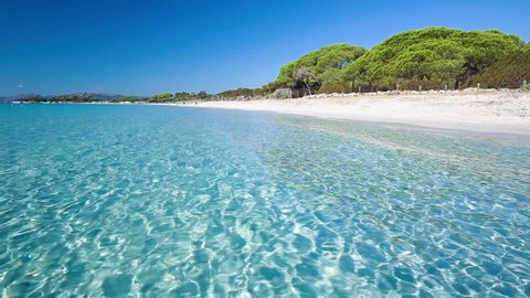 Palomgabbia Beach With Red Rocks Pine Trees And Azure Clear Water Corsica France