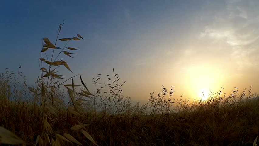 Image%20result%20for%20Biết%20Tỏ%20Cùng%20Ai