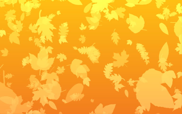 Orange Autumn Leaves Fall To Stock Footage Video 100 Royalty