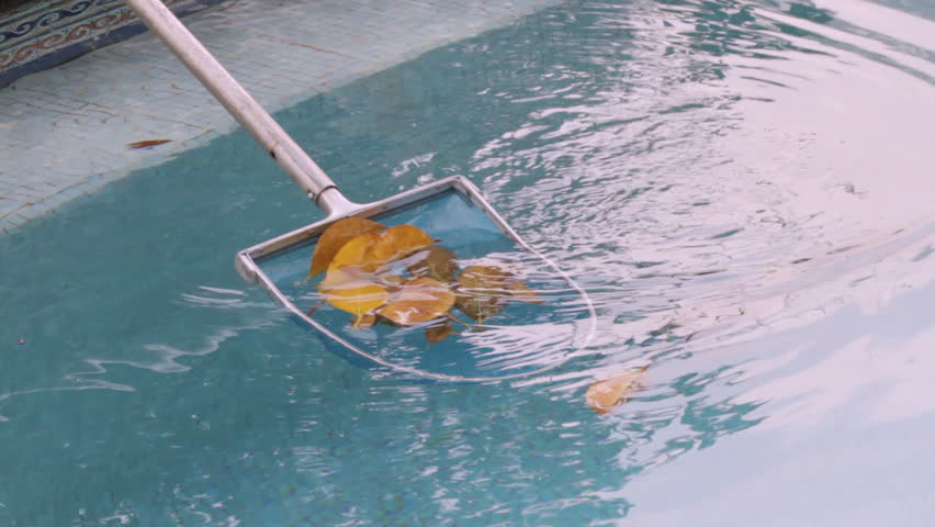 clean leaves out of pool