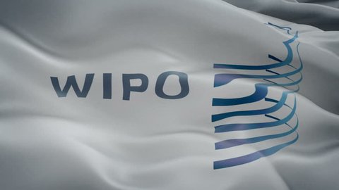 Wipo 1200. WIPO логотип. Всемирная организация интеллектуальной собственности (ВОИС). World intellectual property Organization (WIPO). WIPO ВОИС заседание.