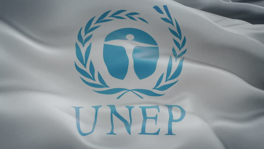 Оон природа. ООН ЮНЕП. United Nations environment programme (UNEP). Организация ООН по охране окружающей среды (ЮНЕП). ЮНЕП эмблема.