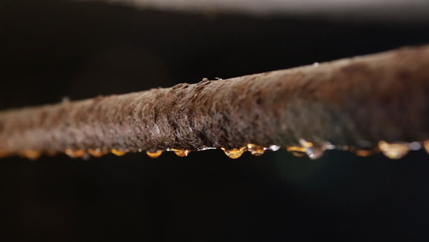 Header of Rusty