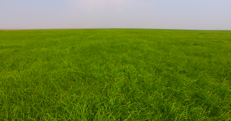 Header of broad