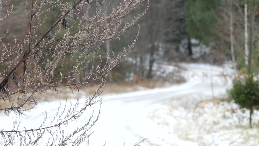 Header of macadam